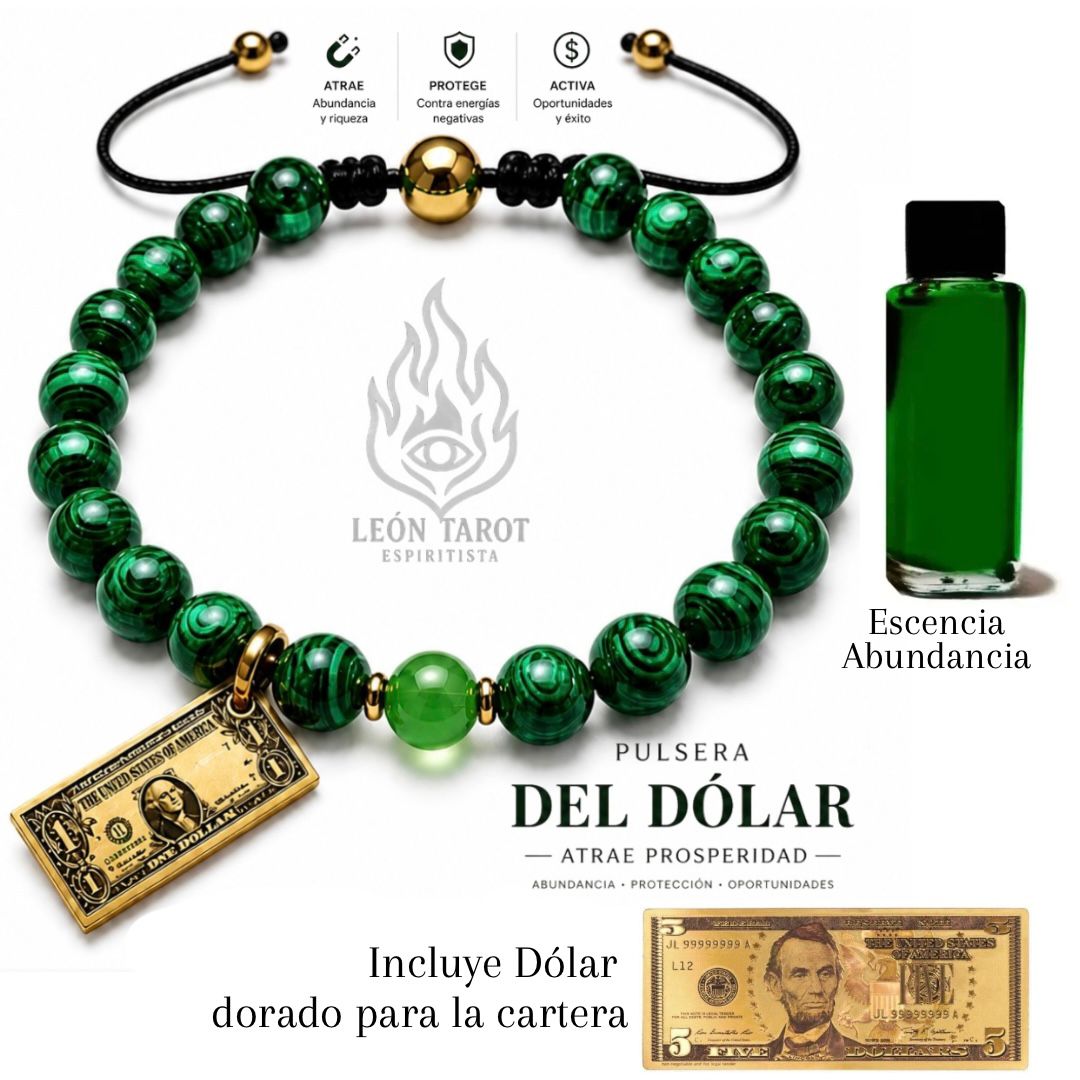 KIT PODER DEL DÓLAR